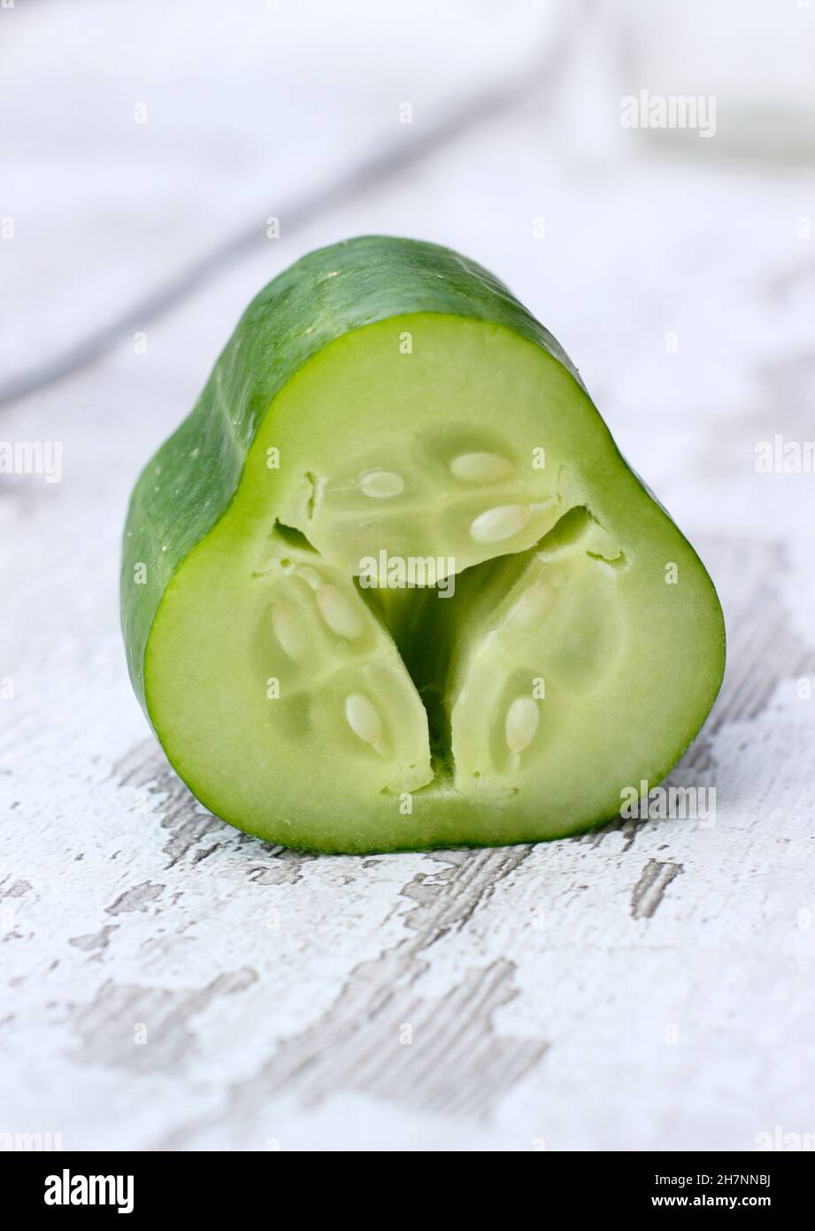 Homegrown cucumber with a hollow heart due to problematic growing conditions. UK Stock Photo