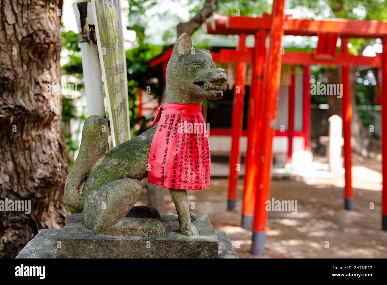 Holy fox, or kitsune statue in Japanese shrine in fukuoka city Stock