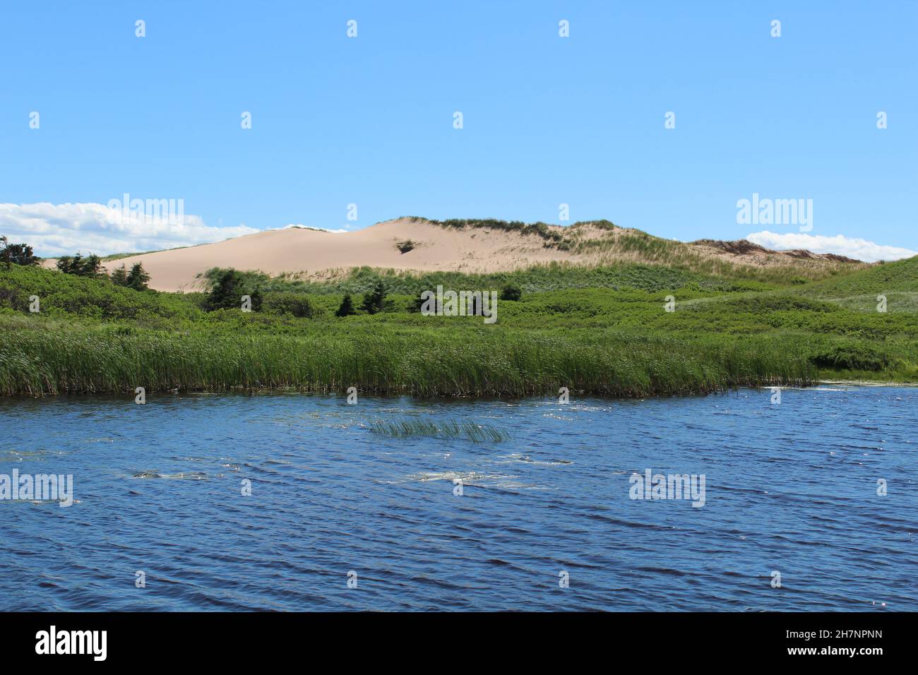 Parabolic sand dunes in Greenwich, PEI National Park (Maritimes, Canada
