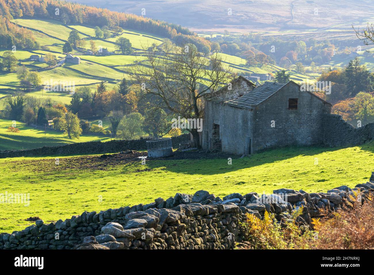 An old dales barn at Howgill near Appletreewick in Wharfedale, The Yorkshire Dales National Park, England. Stock Photo