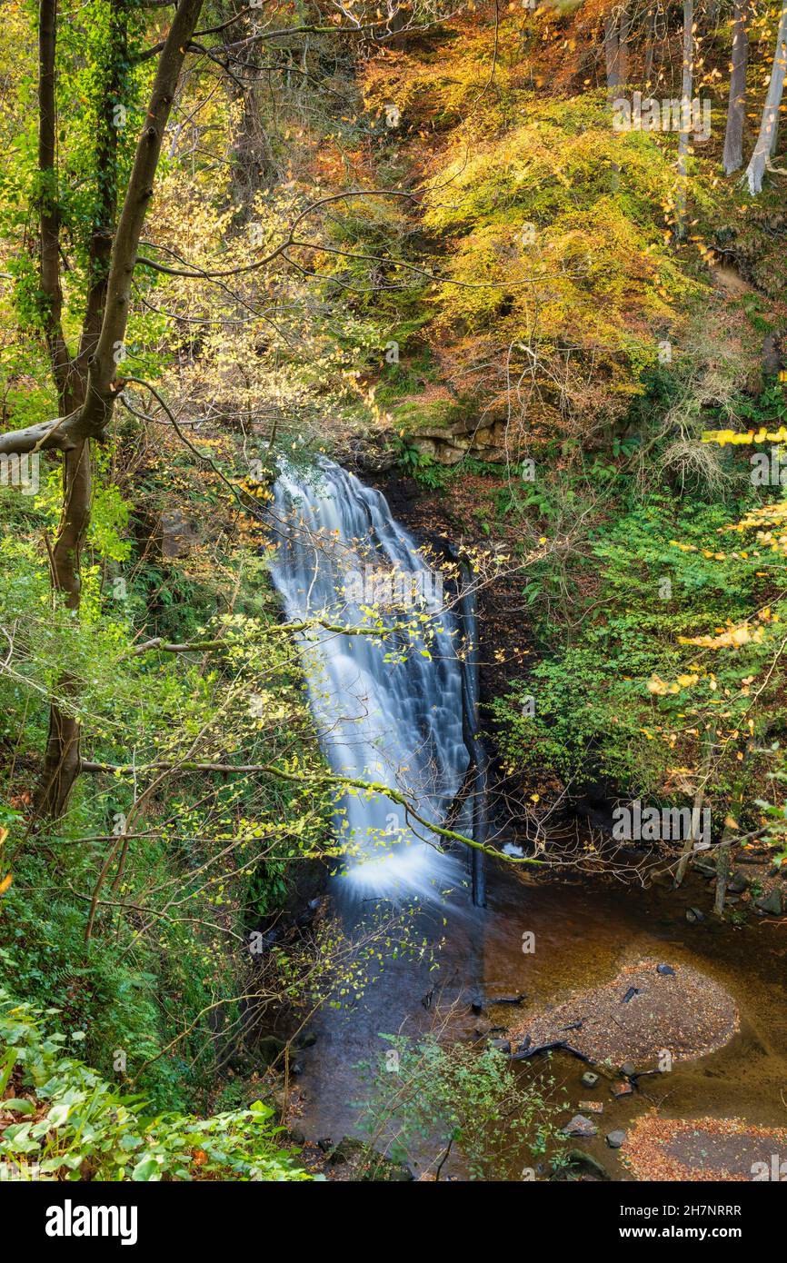Falling Foss Waterfall, Sneaton Forest, Whitby, The North Yorkshire Moors, England Stock Photo
