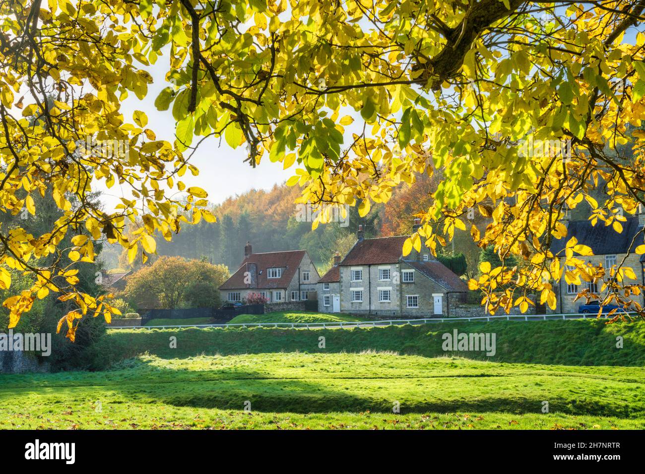 Autumn leaves on the village green and all around stone cottages at moorland village Hutton Le Hole, The North Yorkshire Moors, England. Stock Photo