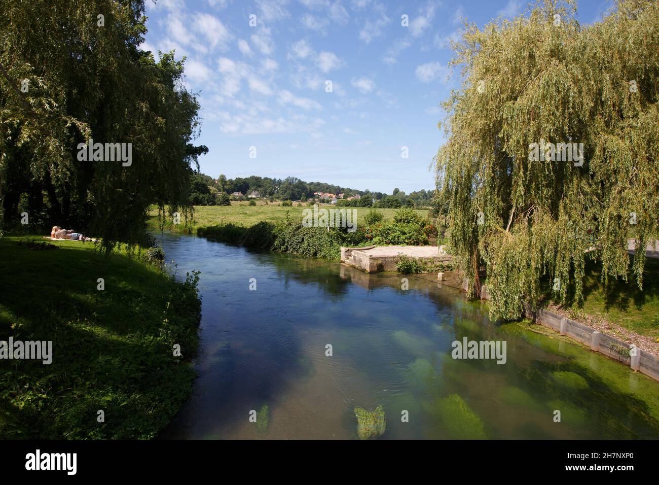 France, Normandy region, Seine-Maritime department, Communauté de Communes Terroir de Caux, Longueil Stock Photo