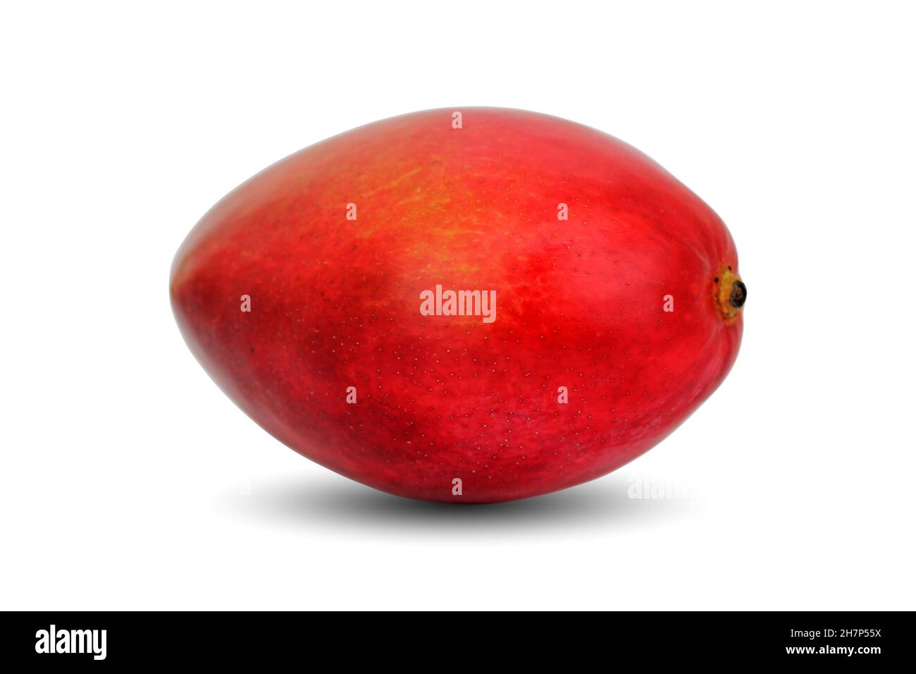 Ripe Mango fruit isolated on white background close up. Stock Photo
