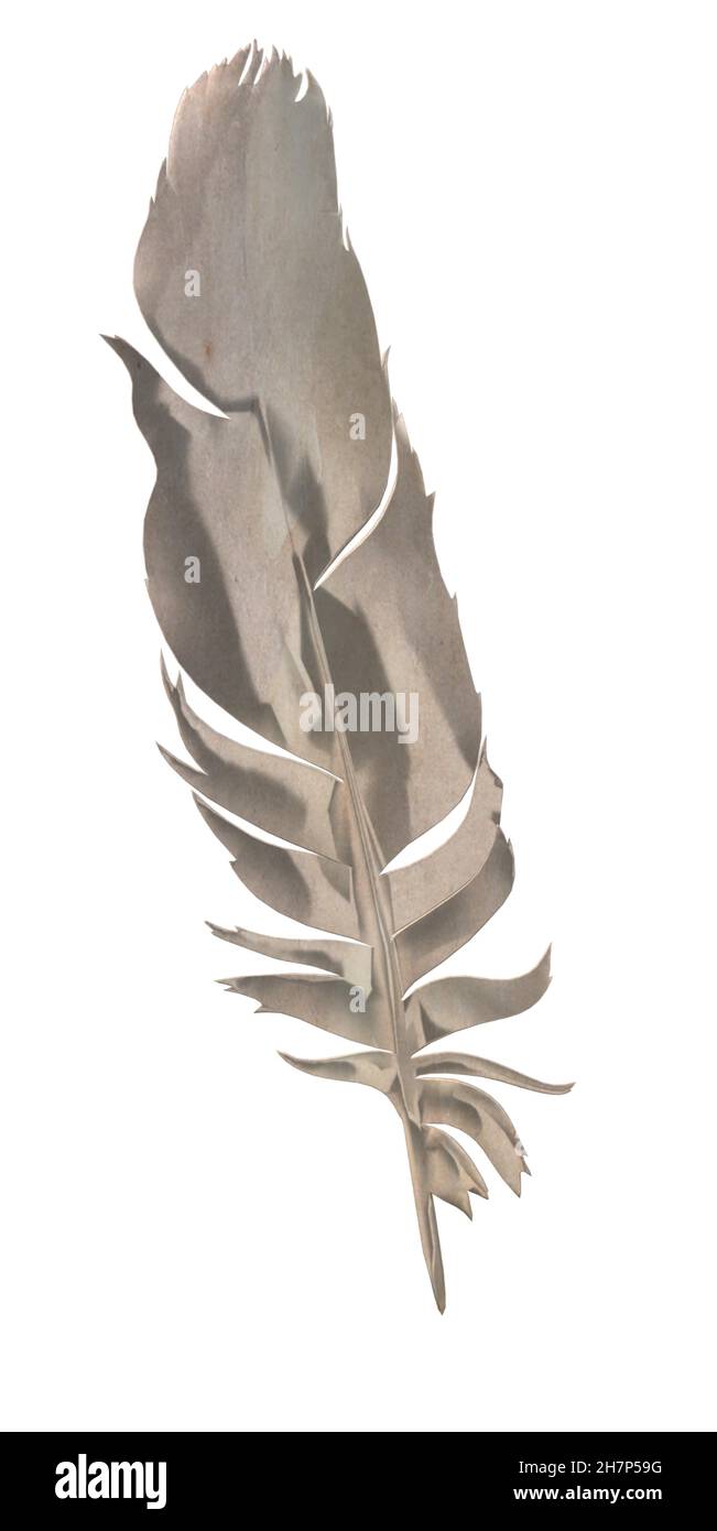 Shiny Metal Silver Feather Stock Vector