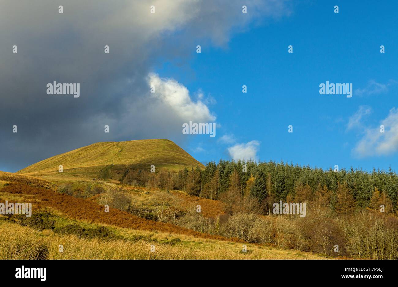 A view of Craig y Fan Ddu and neaby trees in autumn Stock Photo