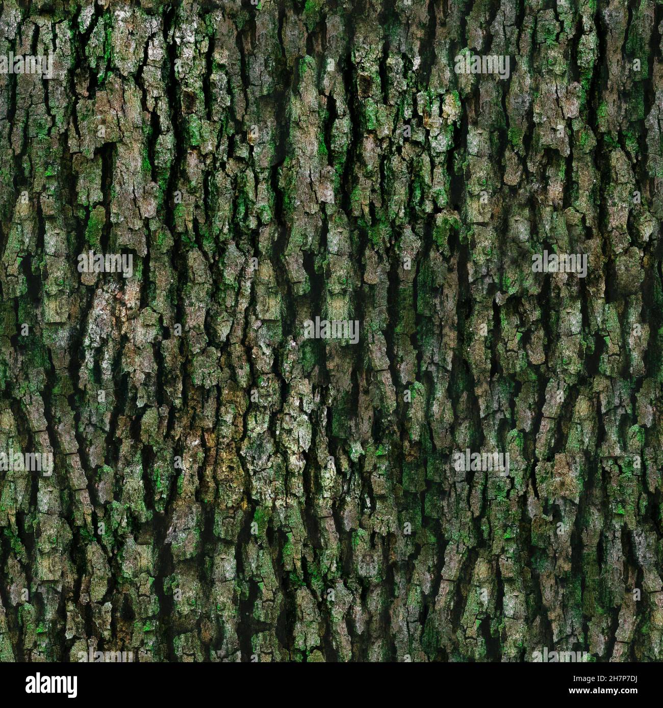 Texture bark 4K high quality Stock Photo - Alamy