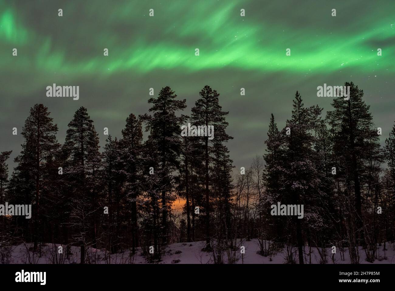 Aurora borealis, Northern lights, Lapland, Finland Stock Photo Alamy
