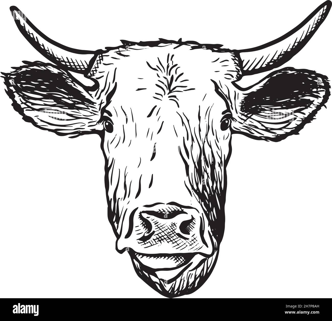 hand drawn icon. Cow head. Isolated on white background. Stock Vector