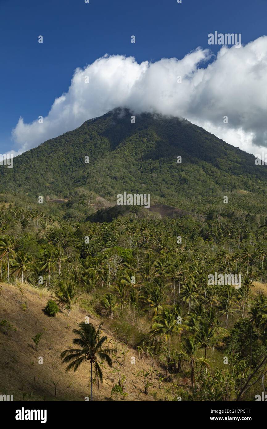 Vertical shot of Mount Tongkoko, Gunung Tangkoko, in Sulawesi island