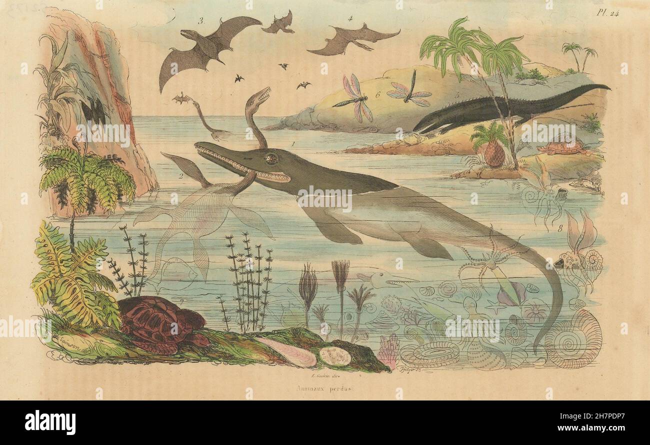 DINOSAURS: Animaux Perdus. Various extinct animal species, antique print 1833 Stock Photo