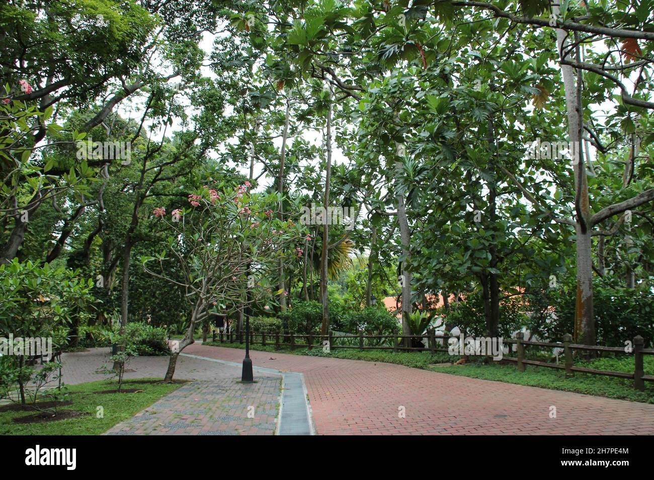 fort canning park in singapore Stock Photo Alamy