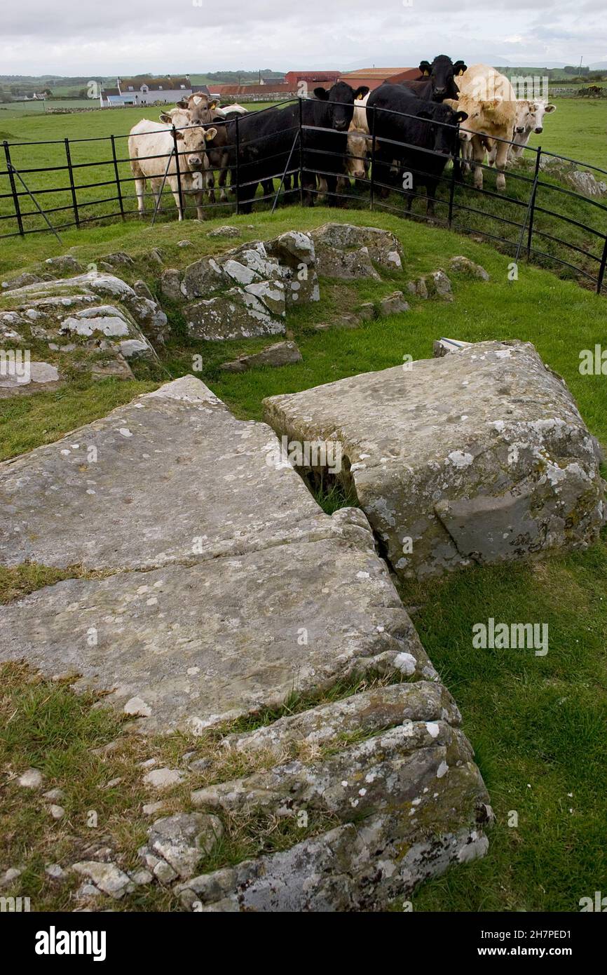 Drumtrodden stones, Dumfries & Galloway, Scotland Stock Photo
