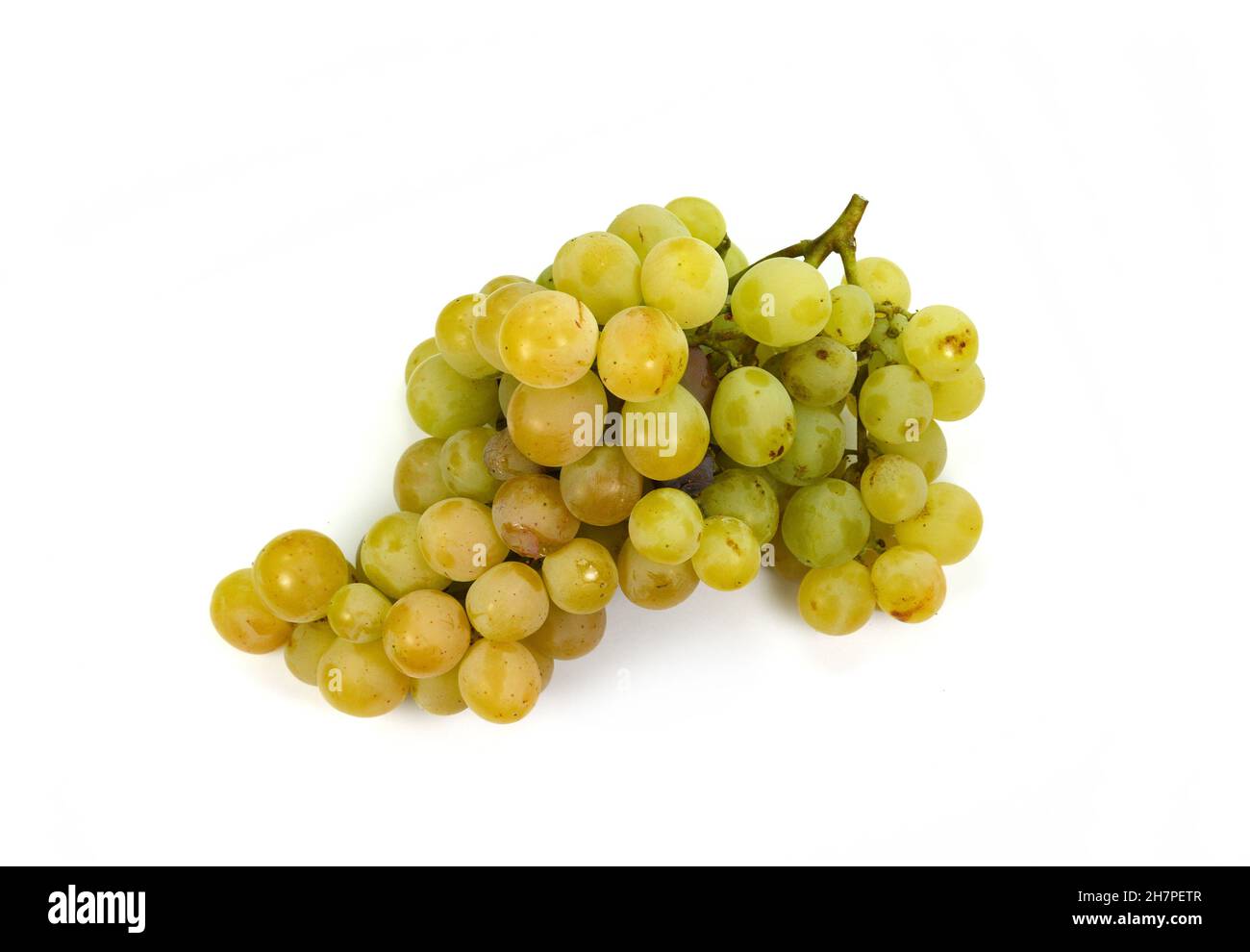 Grape with leaves isolated on white. With clipping path. Full depth of field. A bunch of fresh grapes isolated on white background. Stock Photo