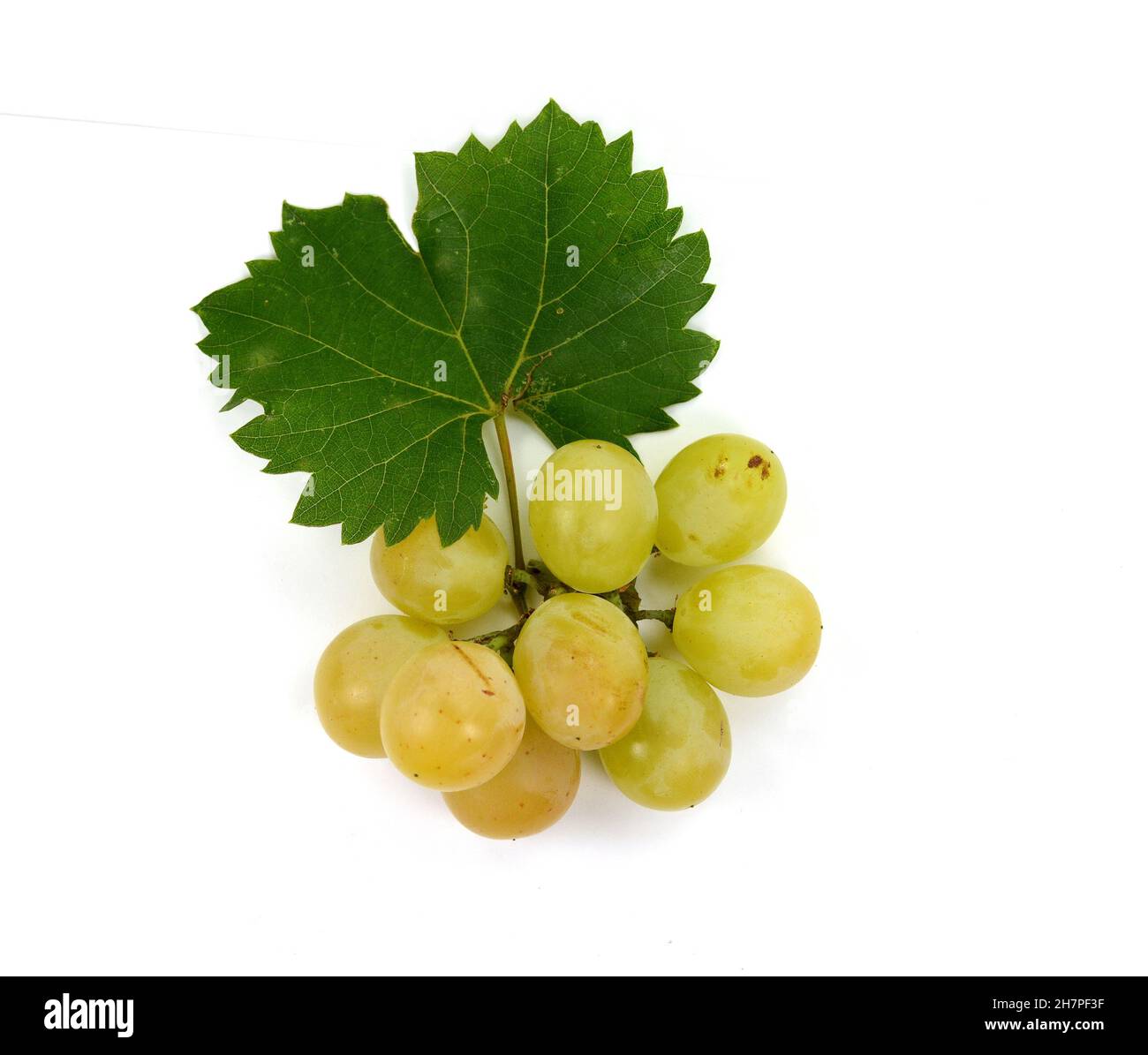 Grape with leaves isolated on white. With clipping path. Full depth of field. A bunch of fresh grapes isolated on white background. Stock Photo