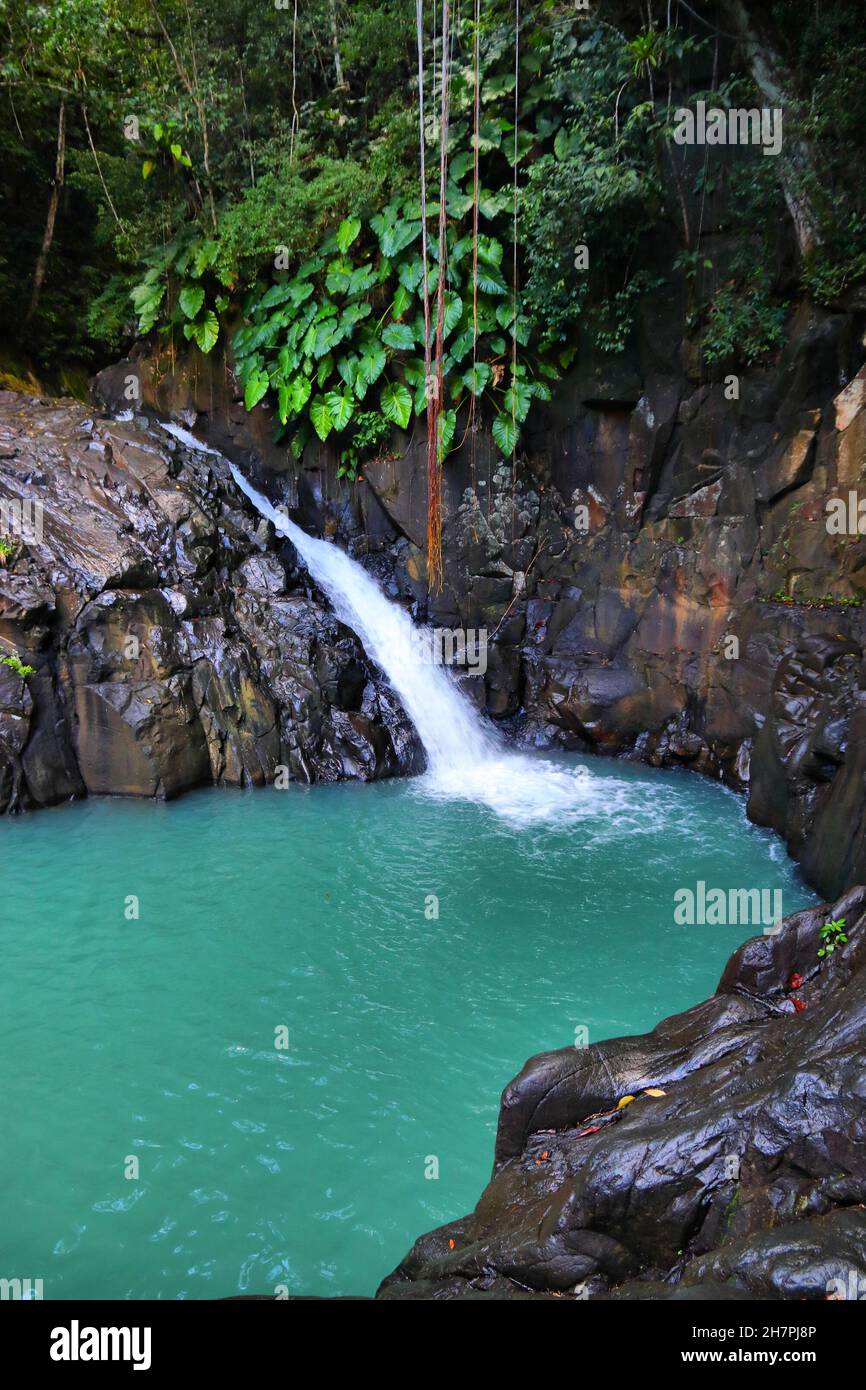 Waterfall in Guadeloupe Caribbean island. Cascade le Saut dAcomat in the  jungle Stock Photo - Alamy