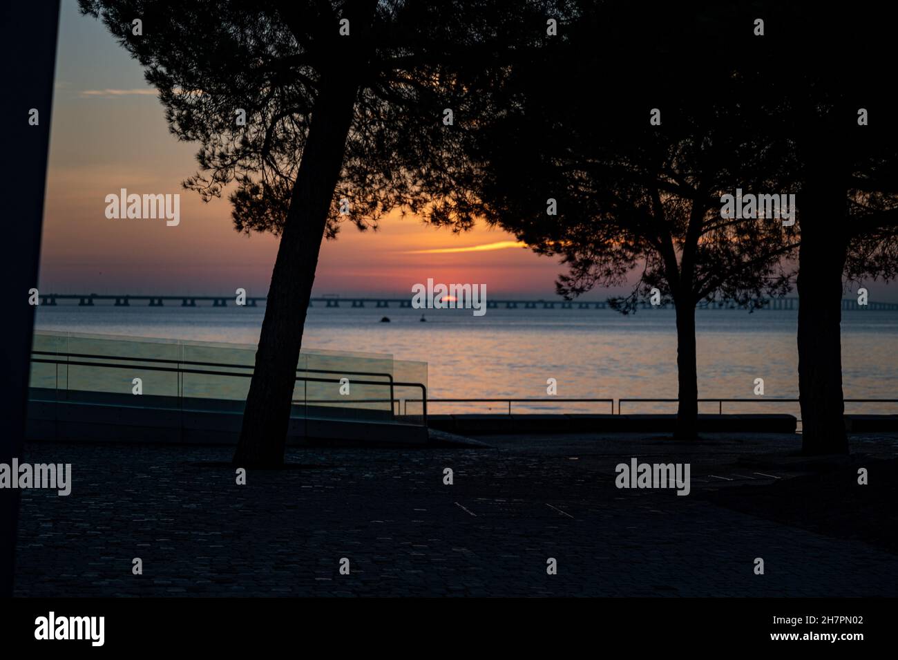 Silhouette of trees on a coast in the sunset sky background Stock Photo ...