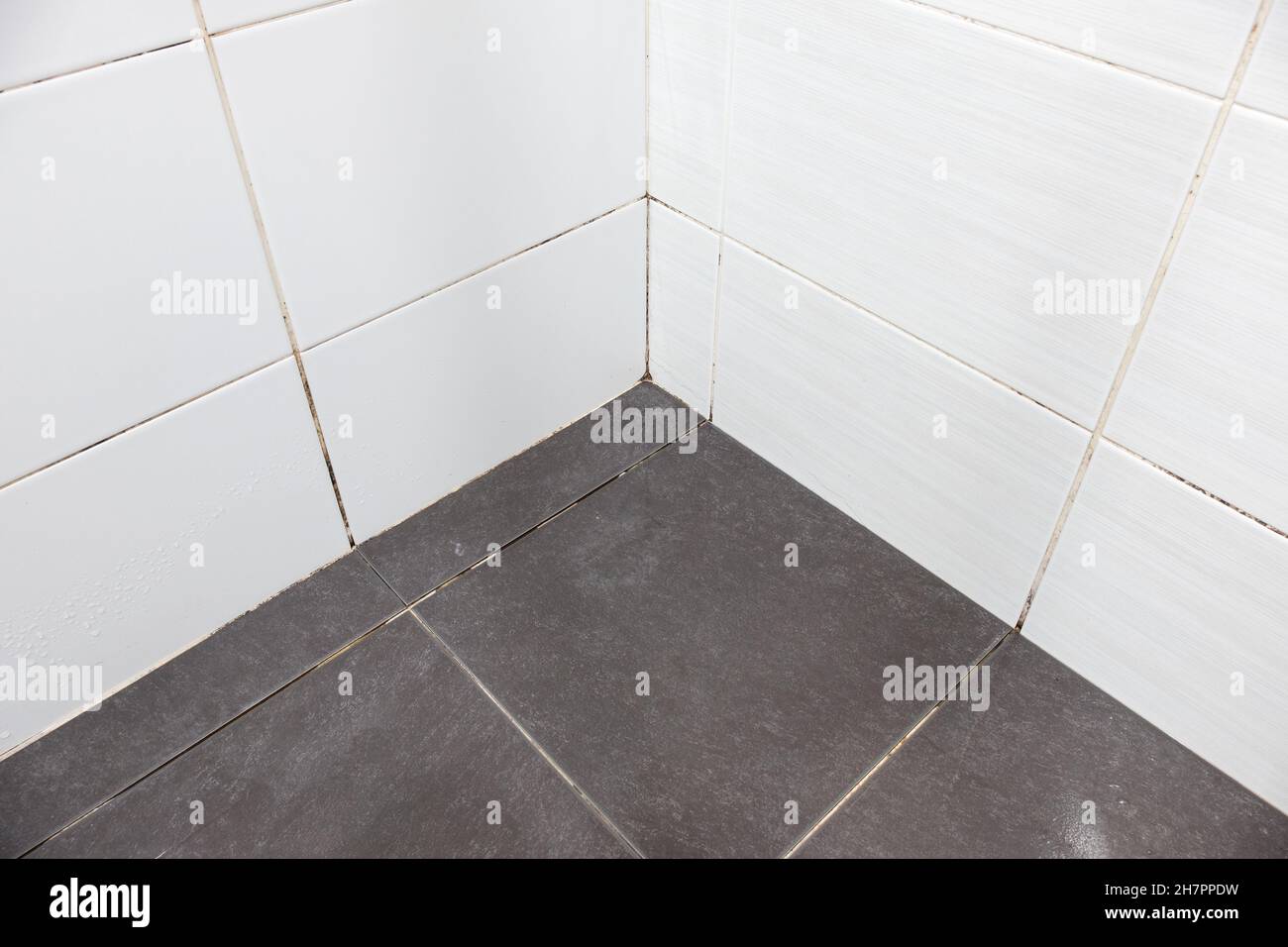 The floor tiles with loose grout and the dirty wall tiles near the