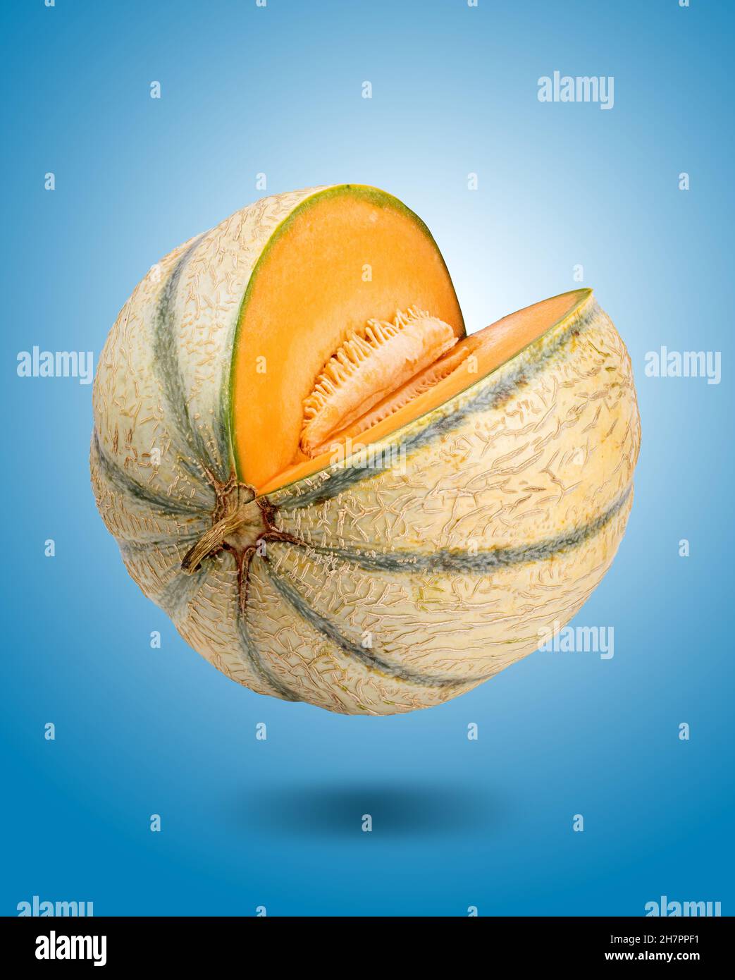 Melon isolated on white background with clipping path Stock Photo