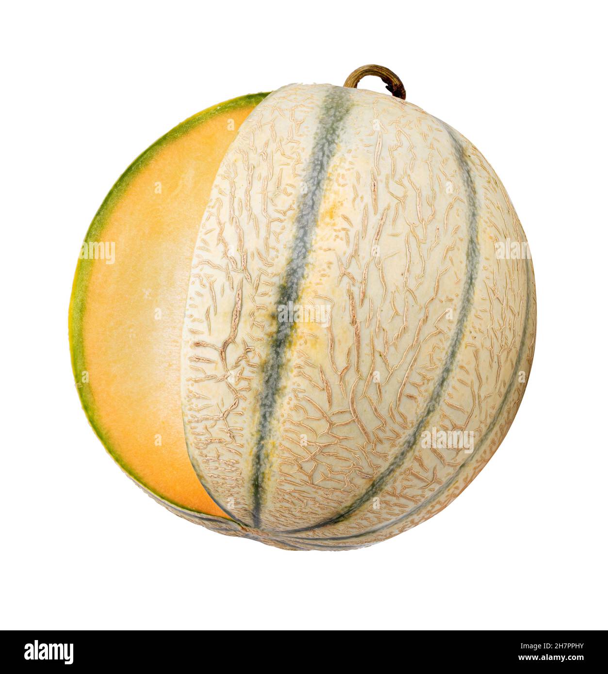 Melon isolated on white background with clipping path Stock Photo
