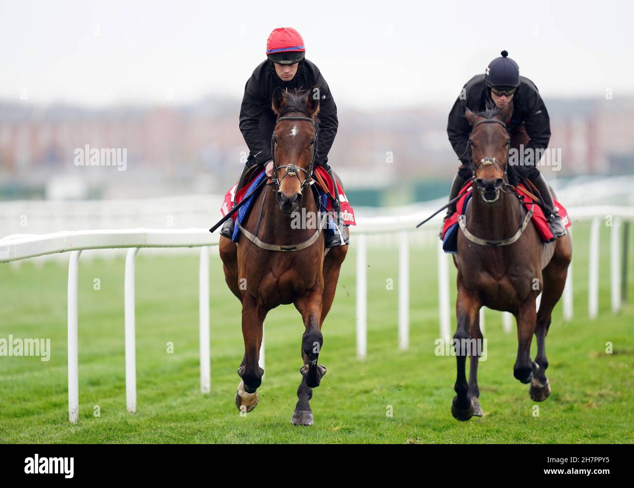 Kerry lee horse hires stock photography and images Alamy