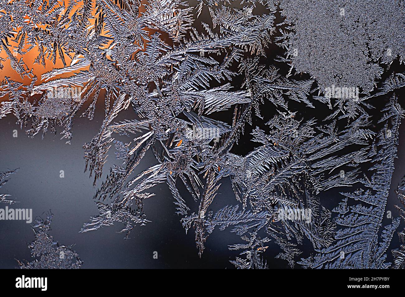 Ice floral pattern on window in a cold winter day Stock Photo