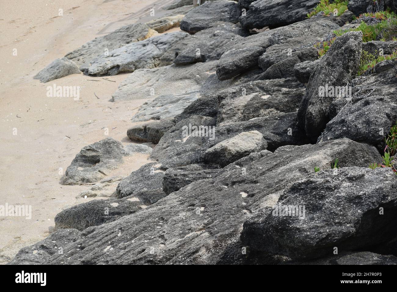 Large gray rocks protect the beach from erosion Stock Photo - Alamy