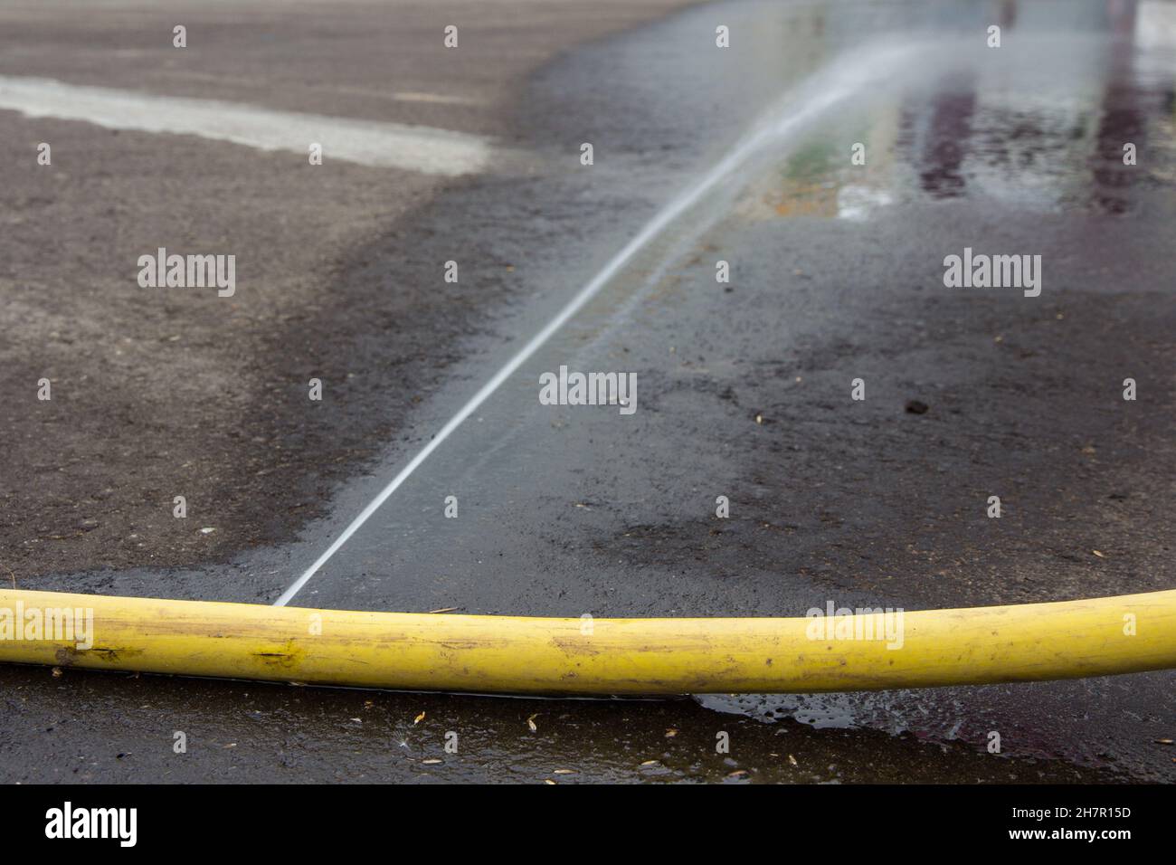 Leaky garden hose. Yellow hose leaking and spraying water around Stock