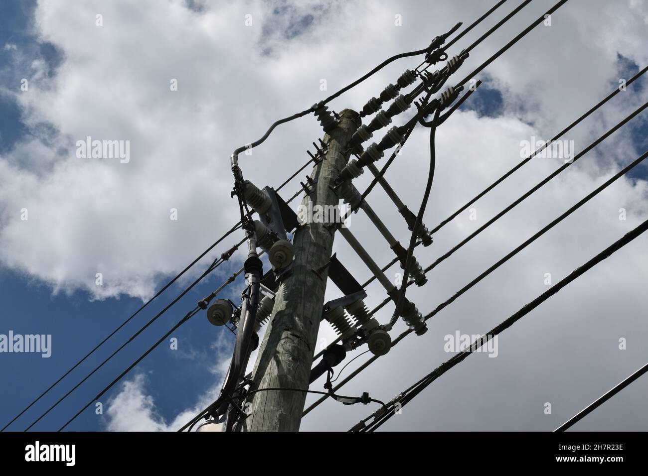 Close-up view of high voltage insulators on a wooden pole Stock Photo ...