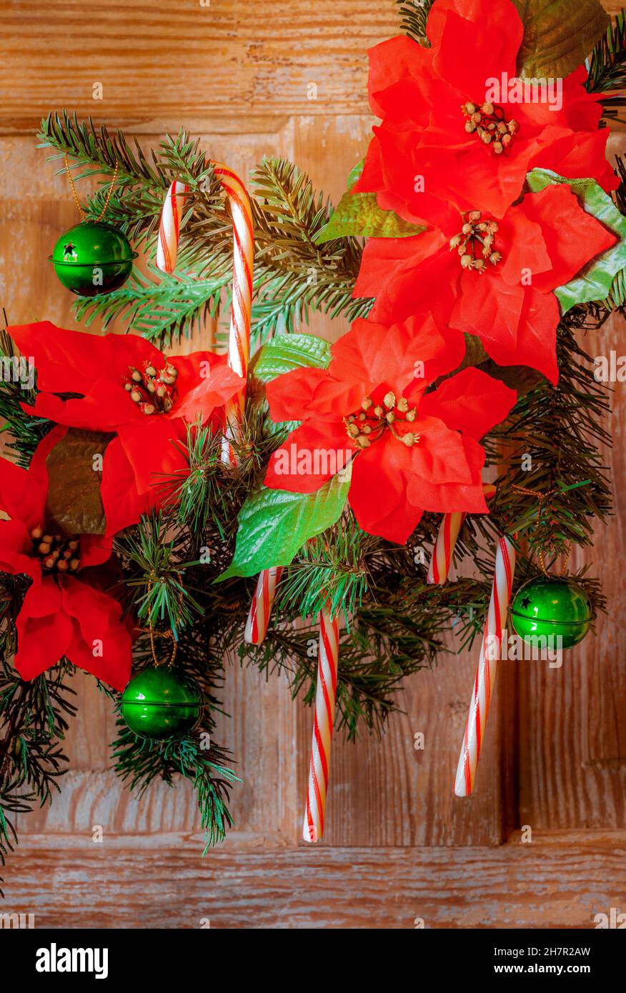 Jingle bells and red and white striped candy canes hang on Christmas tree branch with red Poinsettias. Stock Photo