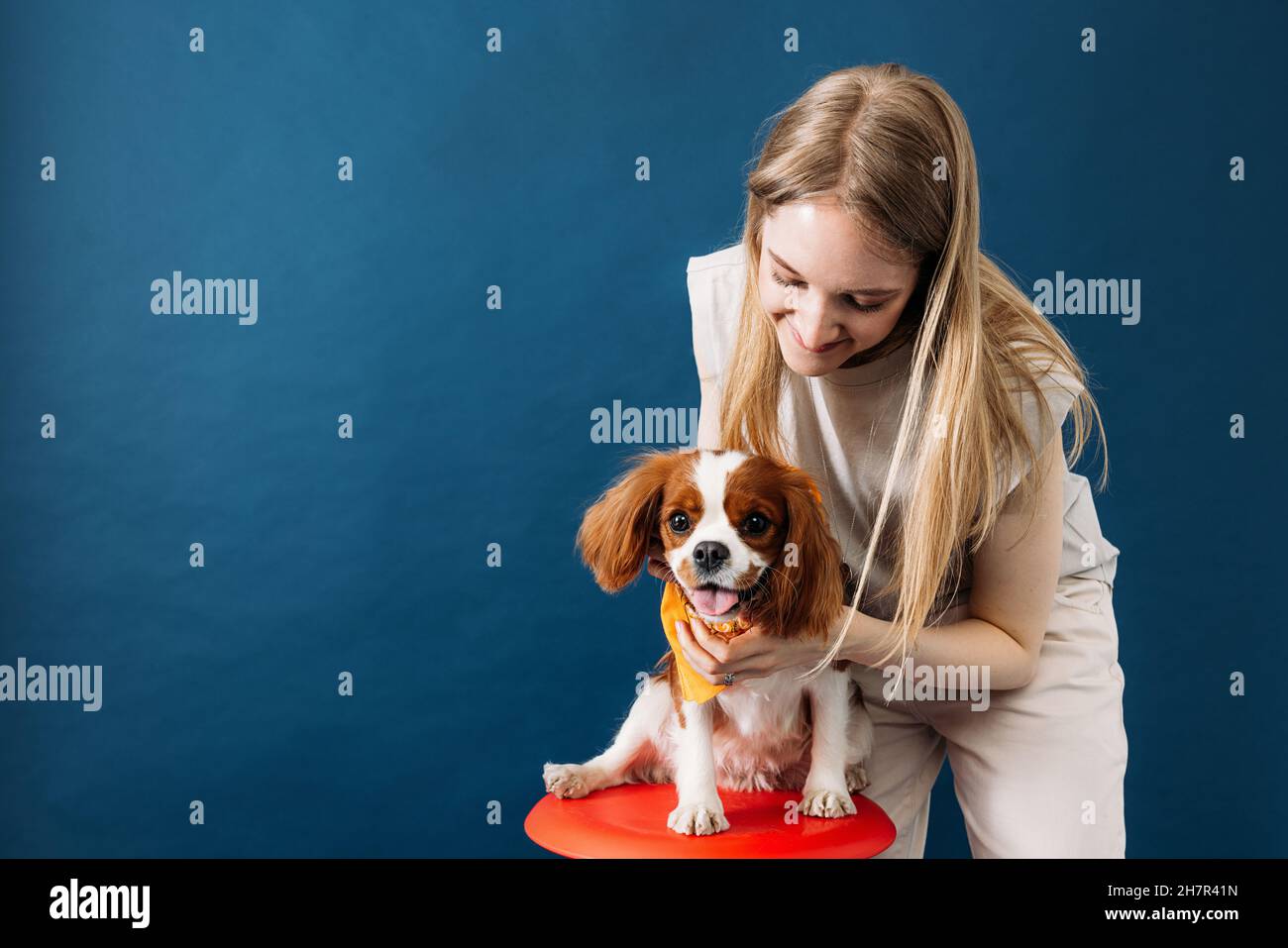 Studio portrait of a young woman with her little dog Stock Photo - Alamy