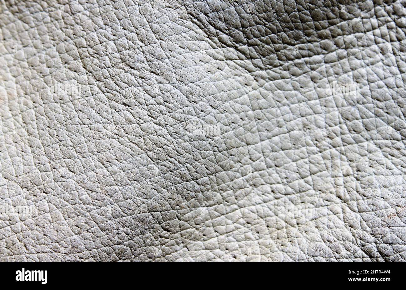 a leather light gray surface close up Stock Photo