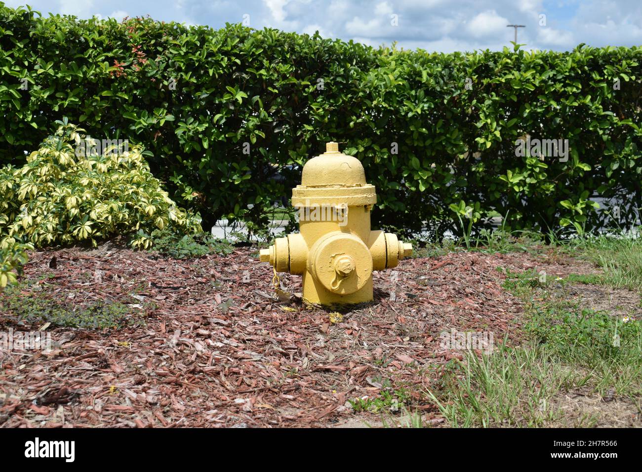A small yellow fire hydrant shows its age. Stock Photo
