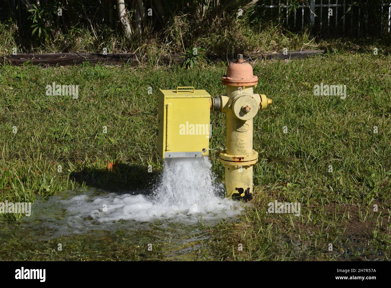 Indoor hydrant box with white hose, nozzle and valve on the office area.  The photo is suitable to use for industry background and fire fighter  content media. 22448051 Stock Photo at Vecteezy