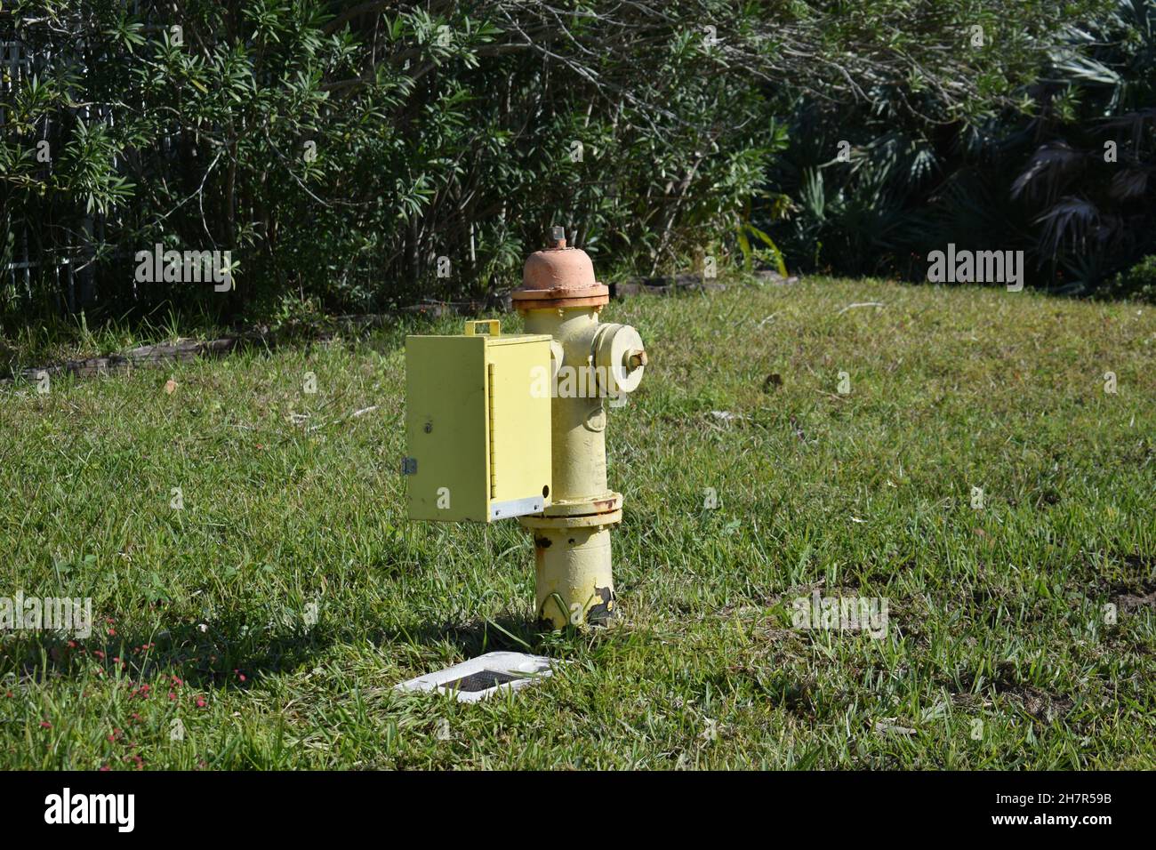 Angled view of yellow box attached to an old fire hydrant. Stock Photo