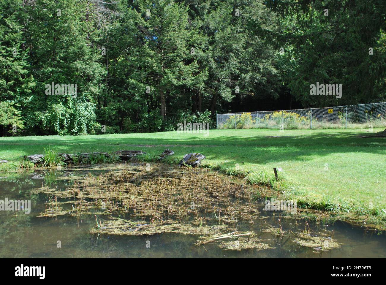 Beautiful shot park light hi-res stock photography and images - Alamy