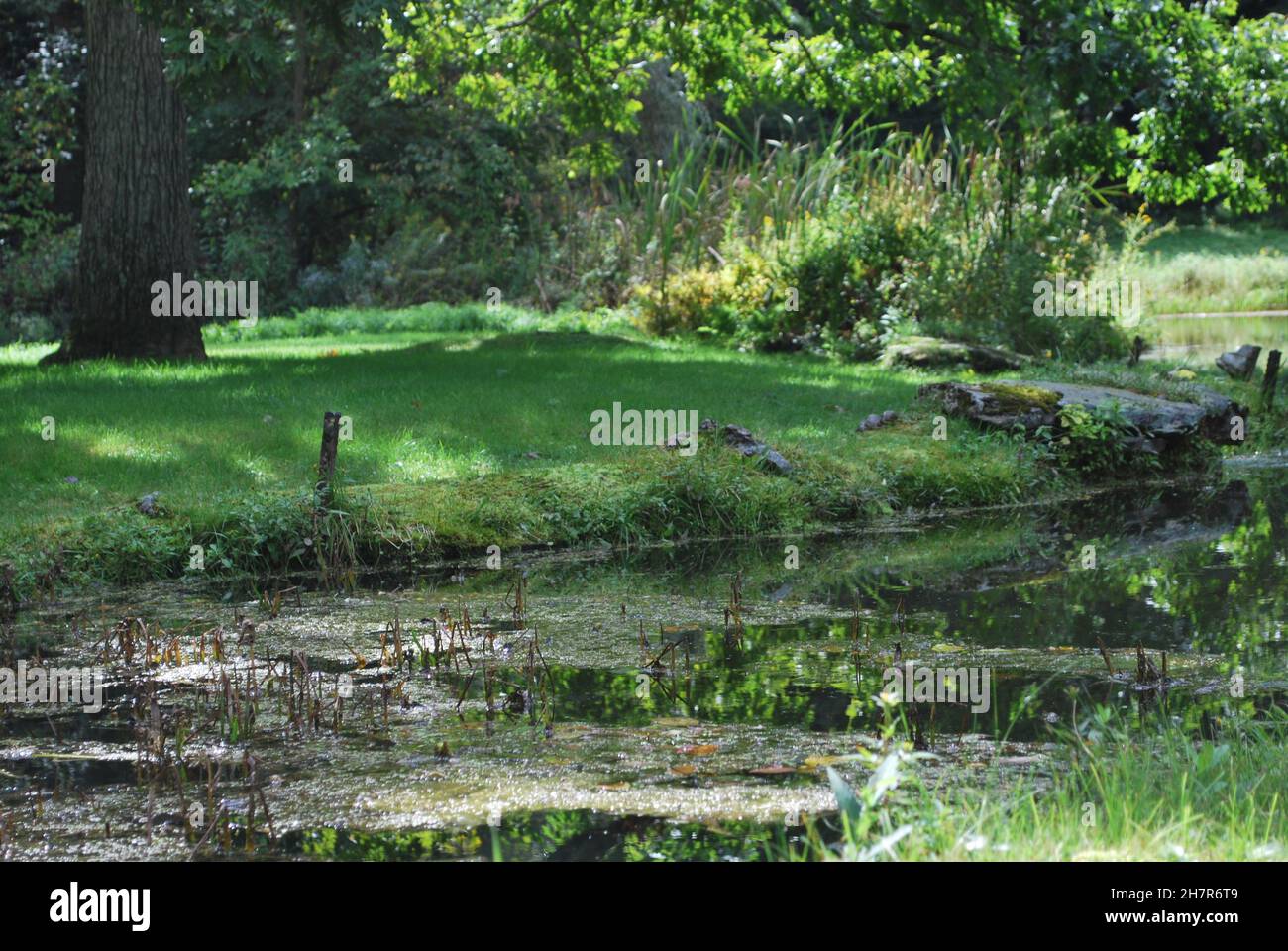 Beautiful shot park light hi-res stock photography and images - Alamy