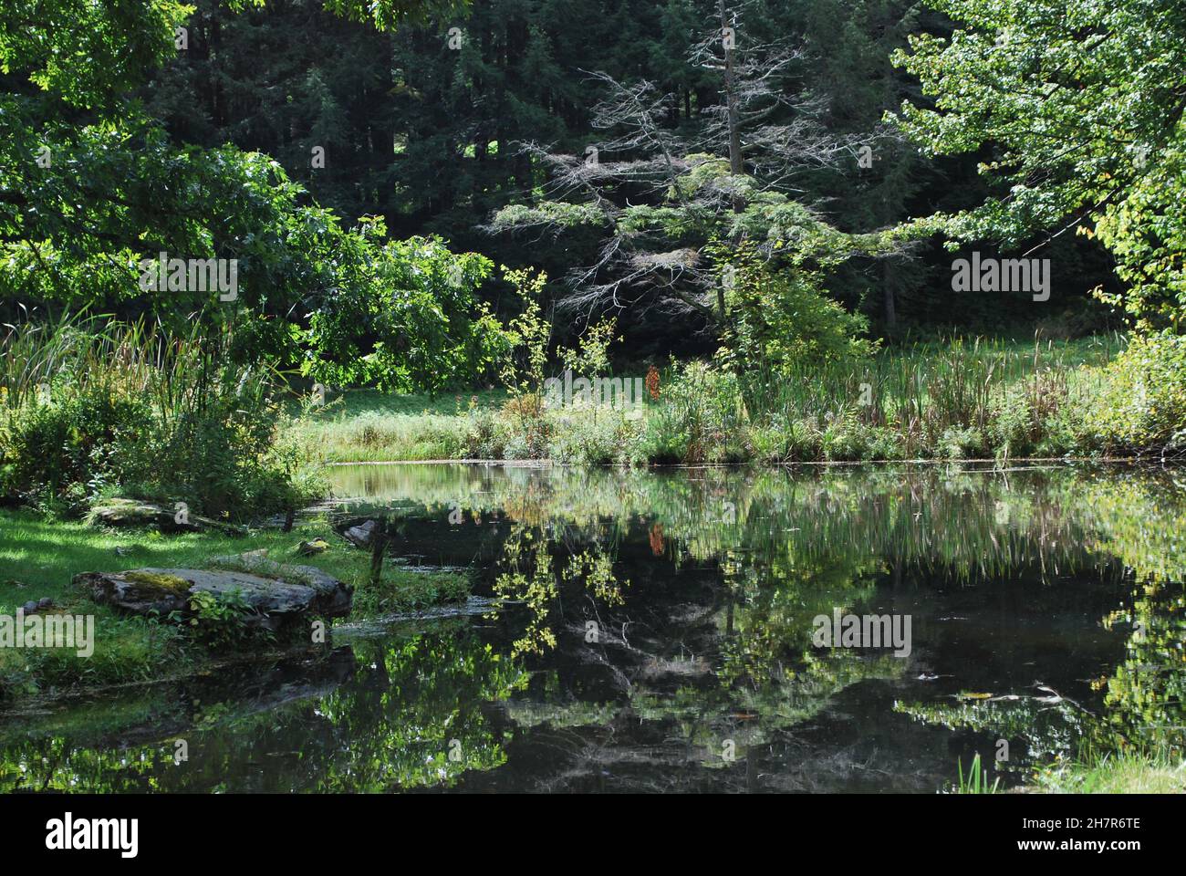 Beautiful shot park light hi-res stock photography and images - Alamy
