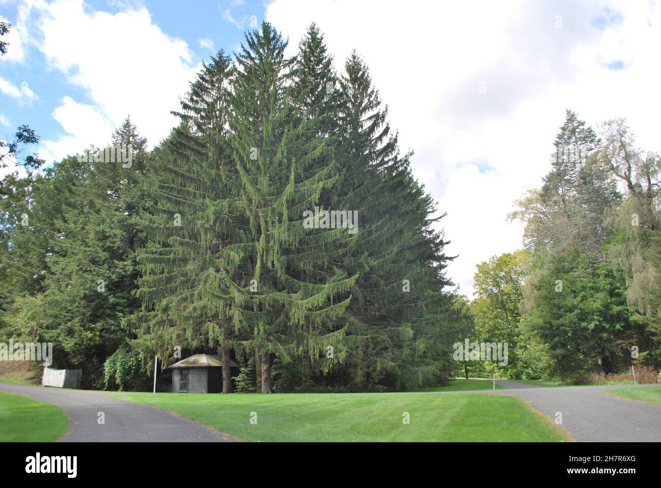 Beautiful shot park light hi-res stock photography and images - Alamy