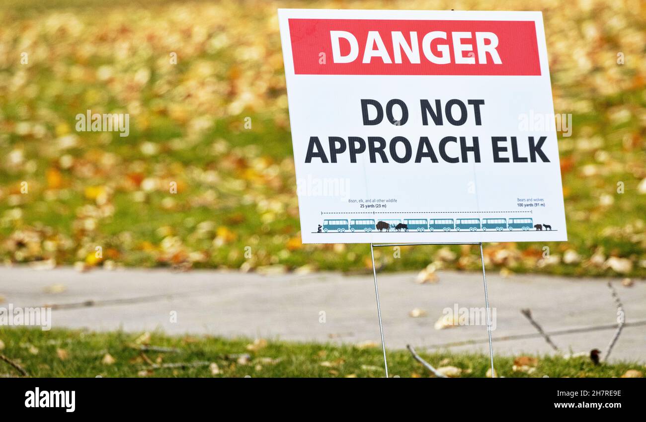 Yellowstone National Park public safety sign along sidewalk in Mammoth reads DANGER DO NOT APPROACH ELK during elk rut season to avoid injury Stock Photo