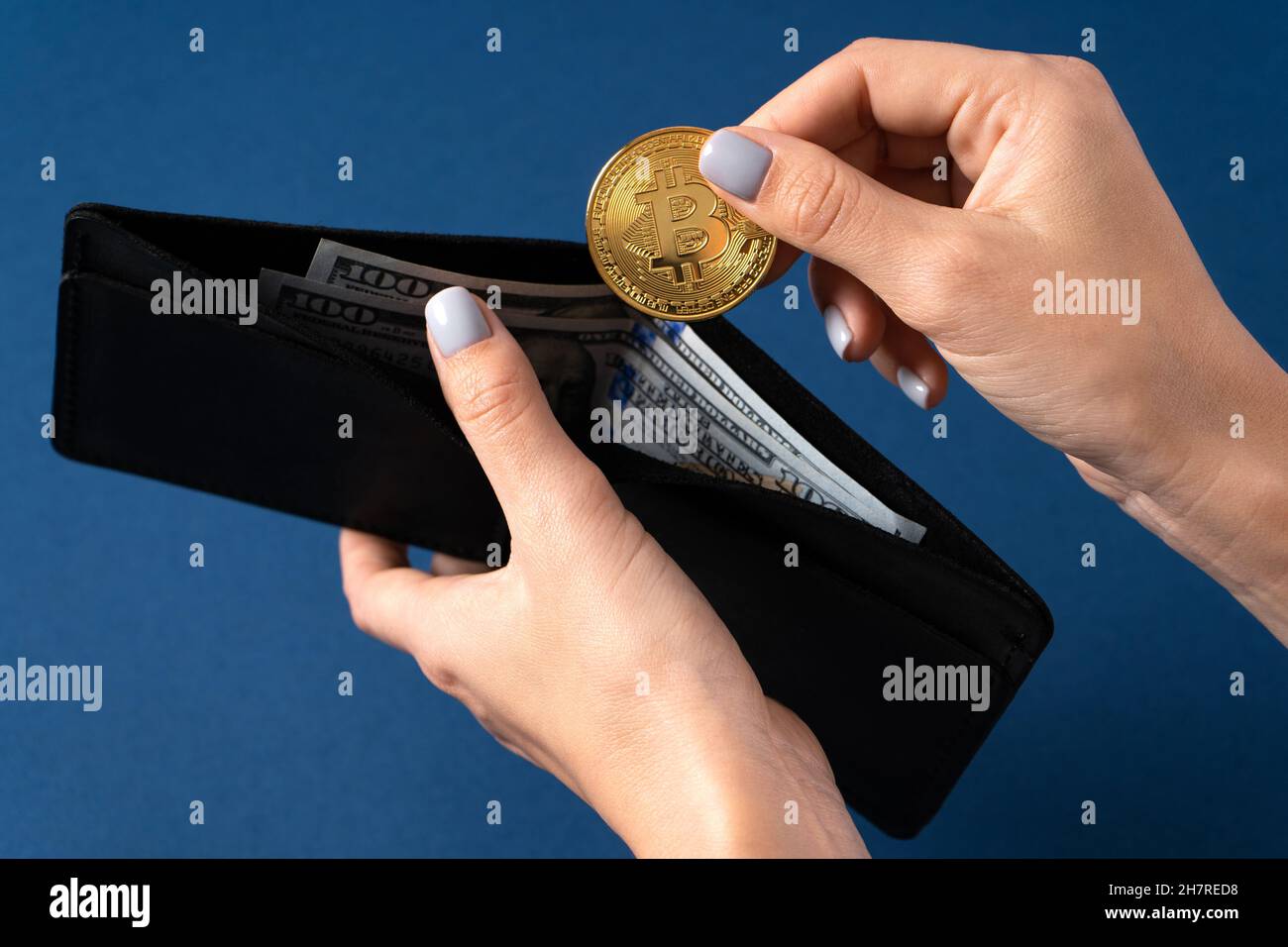Gold bitcoin coin in the hands of a girl with a wallet with dollar banknotes on a blue background. Close up Stock Photo
