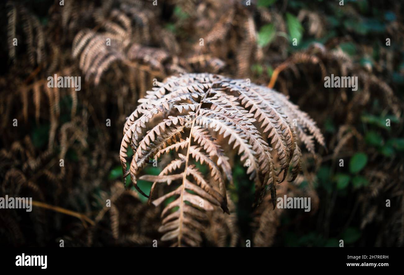 Blurry dark background image hi-res stock photography and images - Alamy