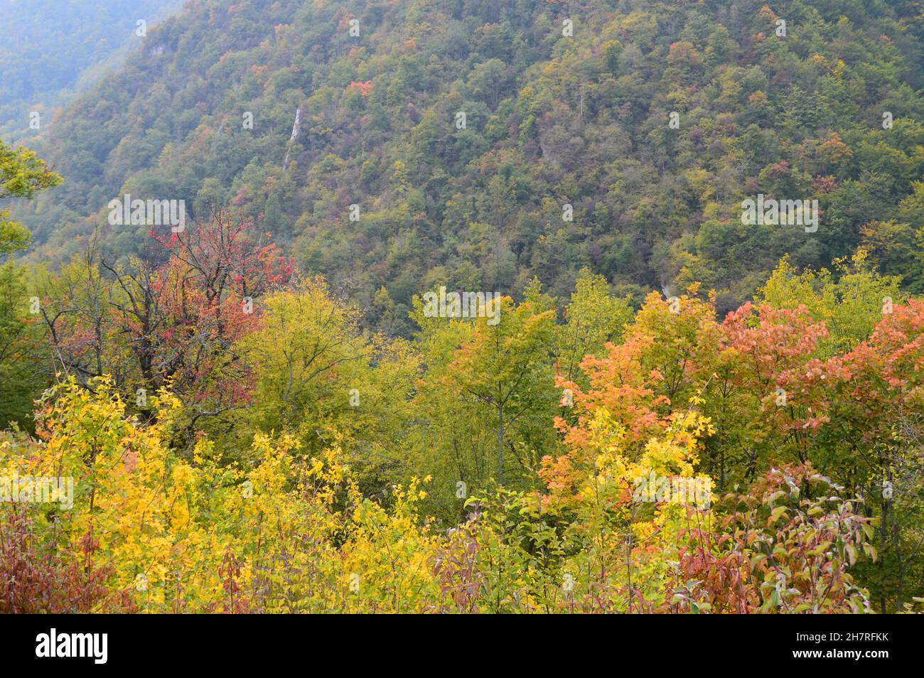 Summer hiking on Bobovac, Bosnia and Herzegovina Stock Photo Alamy
