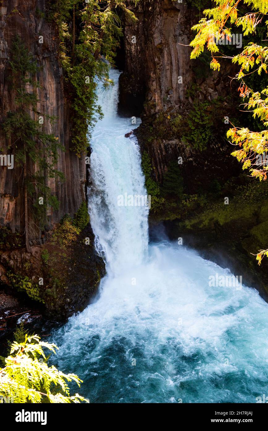 Powerfull Toketee falls in Oregon Stock Photo