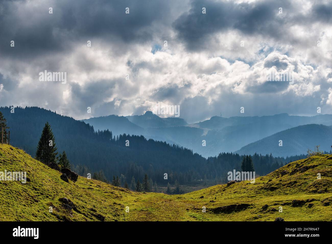 Winklmoosalm or Winklmoos Alp, high plateau 1170m ASL, Reit im Winkl, Chiemgau, Upper Bavaria, Bavarian Alps, Southern Germany, Europe Stock Photo