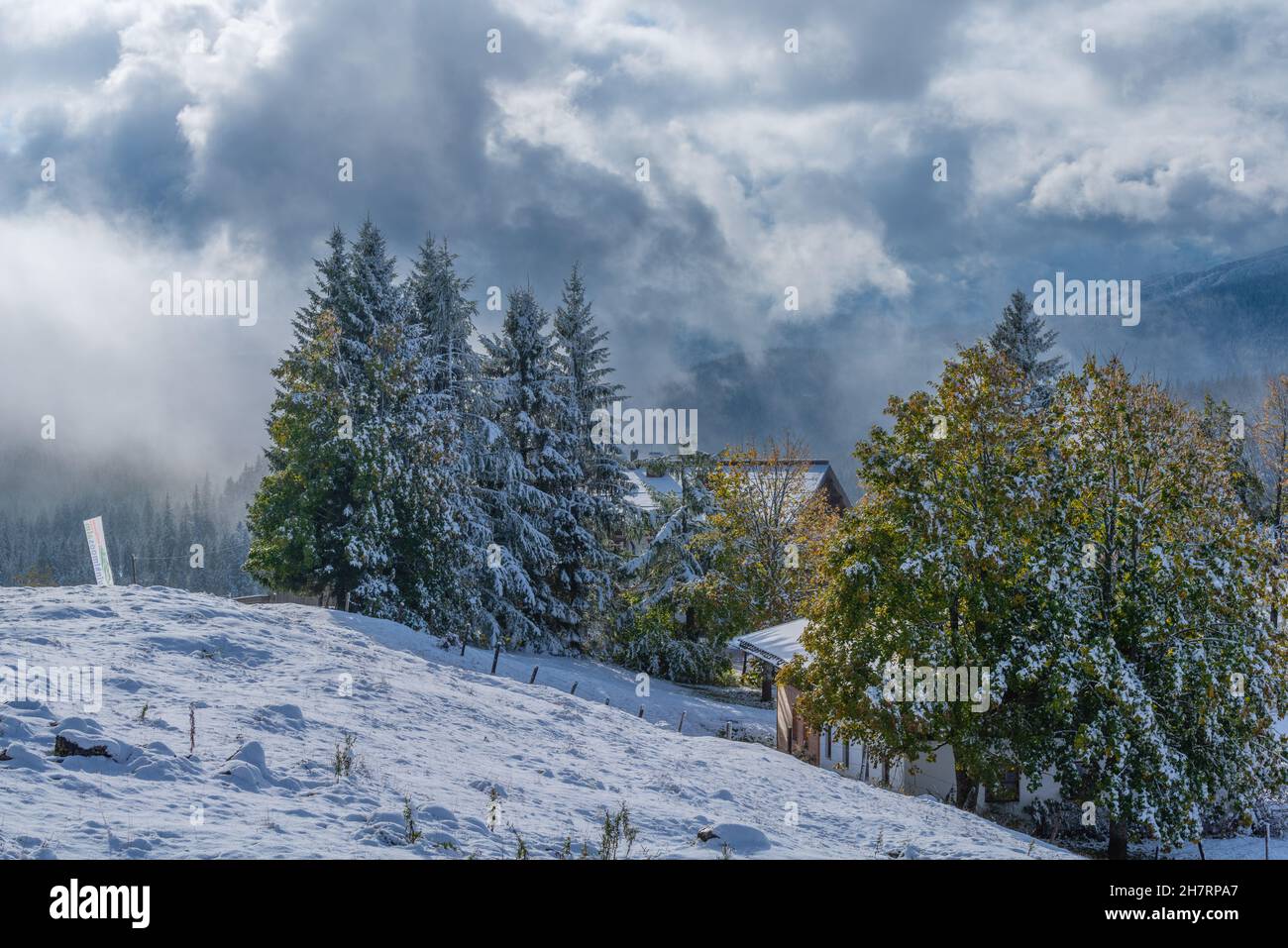 Snow-covered Winklmoosalm or Winklmoos Alp, high plateau 1170m ASL, Reit im Winkl, Chiemgau, Upper Bavaria, Bavarian Alps, Southern Germany, Europe Stock Photo