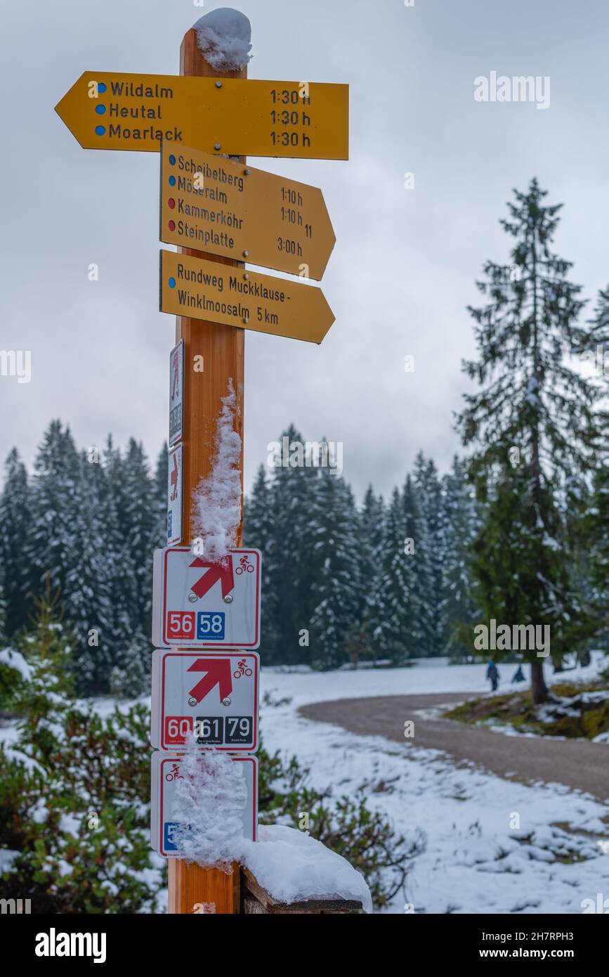 Snow-covered Winklmoosalm or Winklmoos Alp, high plateau 1170m ASL, Reit im Winkl, Chiemgau, Upper Bavaria, Bavarian Alps, Southern Germany, Europe Stock Photo