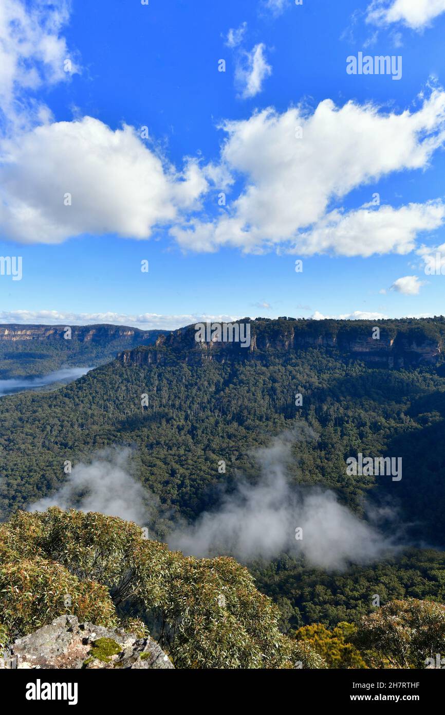 A view of mist in the Jamison Valley of the Blue Mountains in Australia Stock Photo