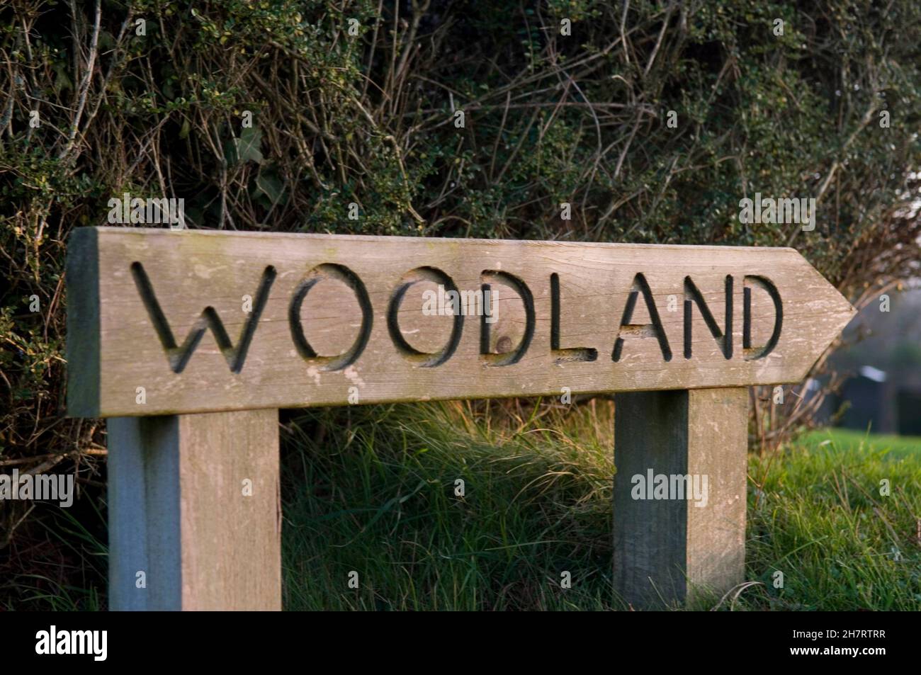 Woodland burial site sign Stock Photo Alamy