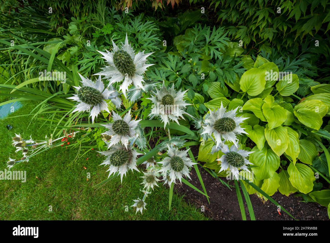 Flower Garden National Park Edinburgh Stock Photo